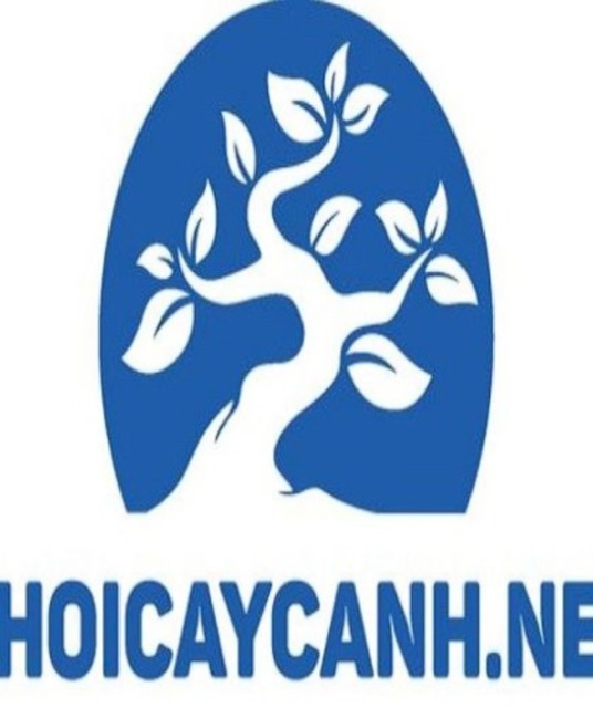 avatar Chơi Cây Cảnh