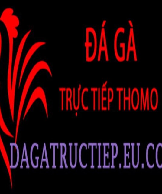 avatar Đá Gà Trực Tiếp