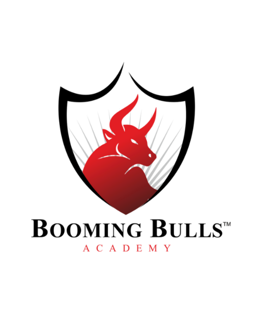 avatar Booming Bulls Academy