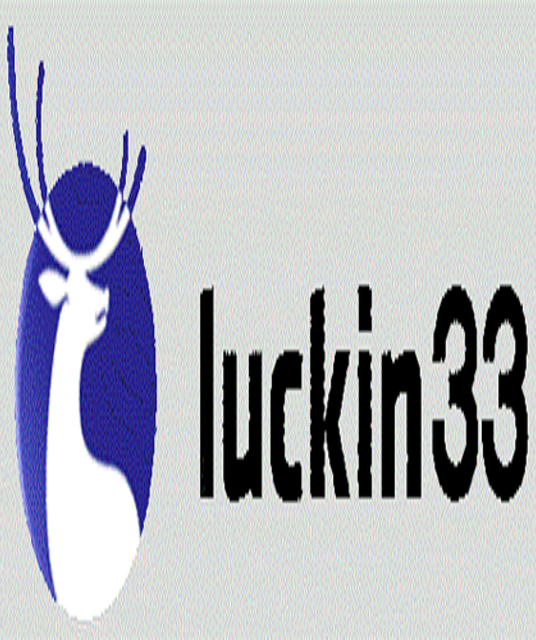 avatar LUCKIN33 co