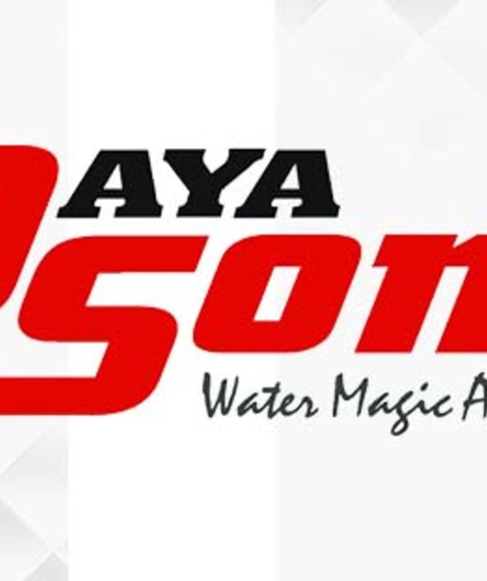 avatar Daya Sons