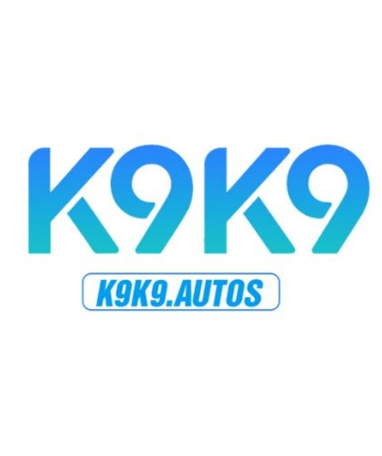 avatar K9K9 AUTOS