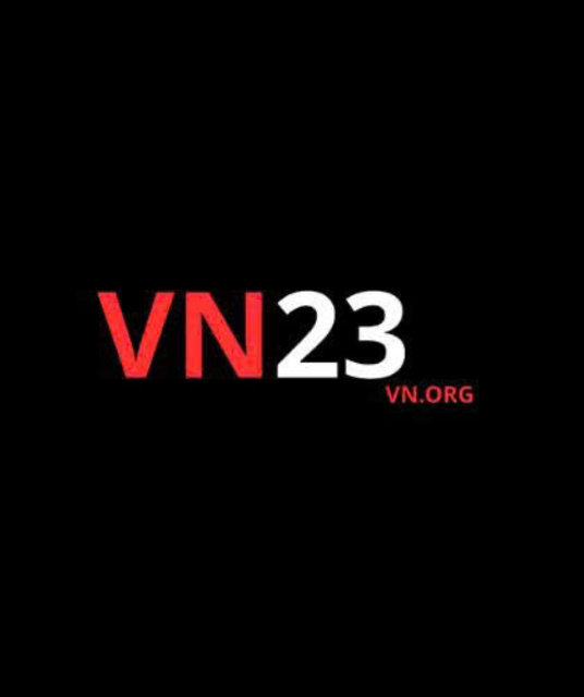 avatar vn23vnorg