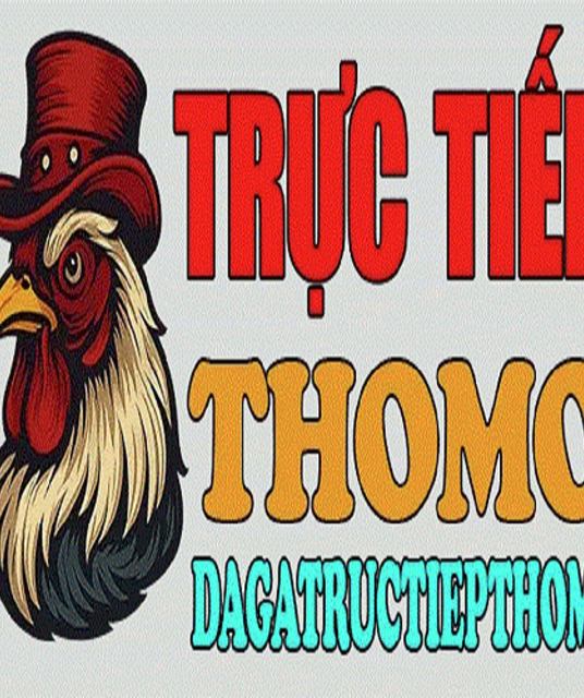 avatar ĐÁ GÀ TRỰC TIẾP THOMO