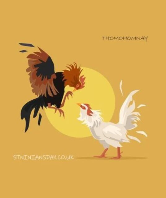 avatar ĐÁ GÀ TRỰC TIẾP