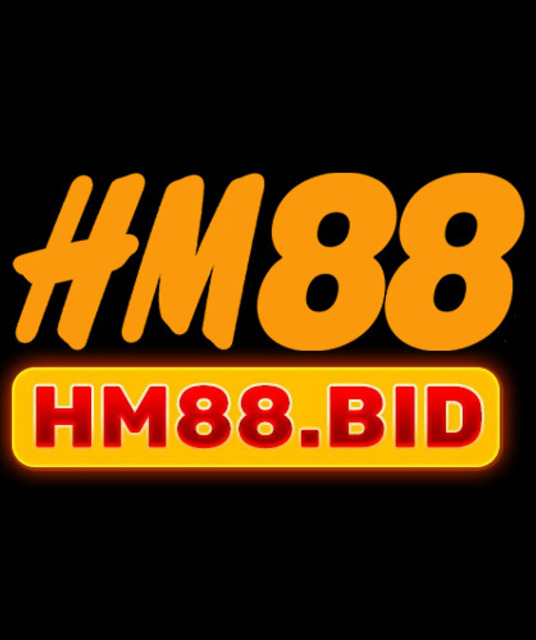 avatar HM88 bid