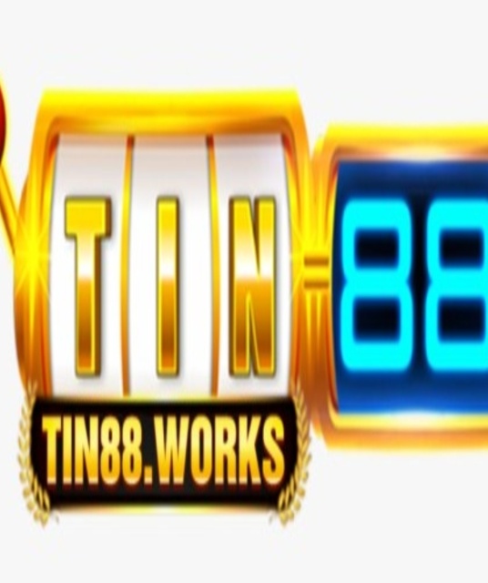 avatar TIN88 WORKS